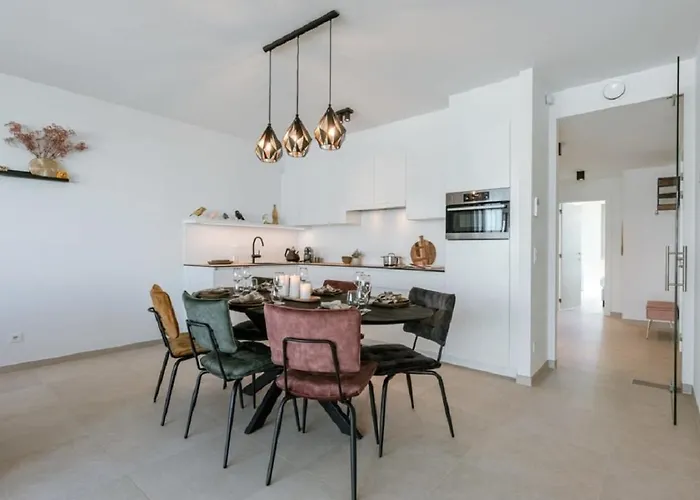 Bel Air - Luxury New-build With Spacious Terrace T14 公寓 奥斯滕德